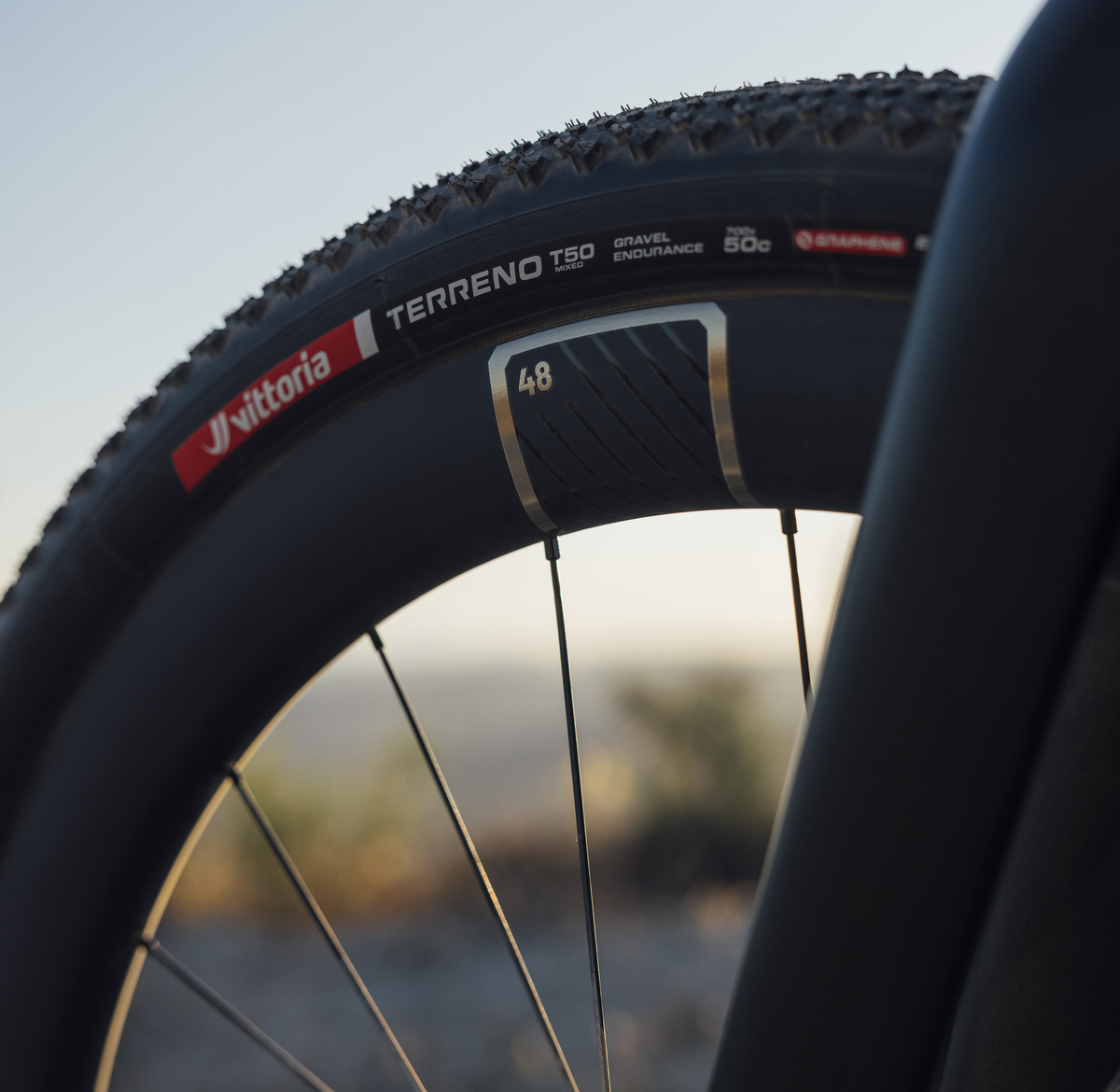 Miche Graff Aero 48 ruote gravel